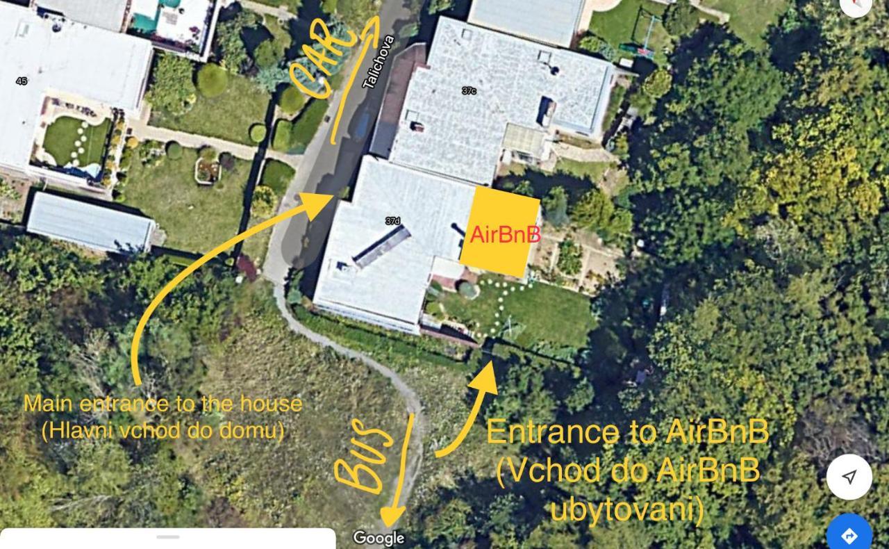 Krasny Apartman U Lesa, Trolejbus Do Centra A Bvv, Parkovani Zdarma Brno Bagian luar foto